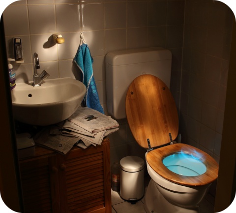 Les nettoyants pour toilettes se répartissent en deux grandes catégories: les nettoyants à base d’acide et les nettoyants "avec javel".