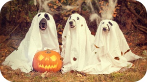 Fêtez Halloween en toute sécurité